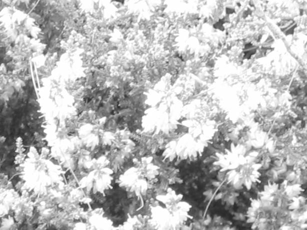 /images/2004/August/IMG_0102.JPG