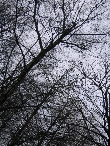 /images/2004/December/IMG_1721.JPG