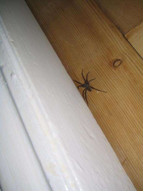 /images/2005/August/img_4164.jpg