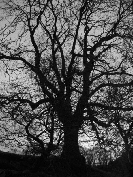 /images/2005/November/img_5939.jpg