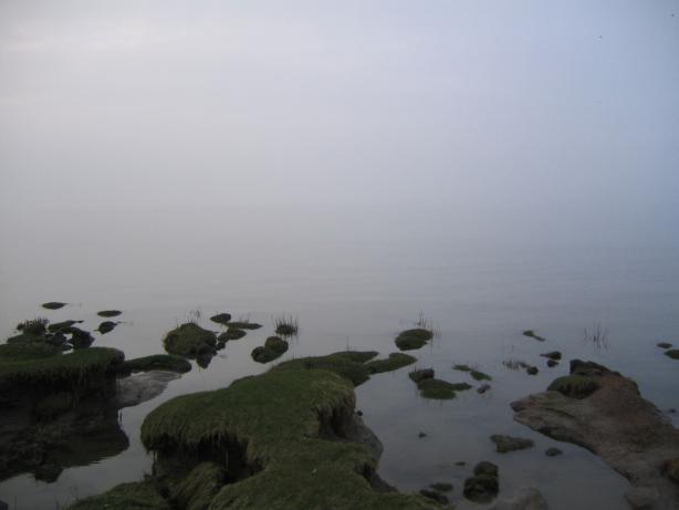 /images/2006/February/img_6998.jpg