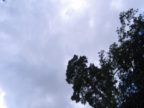 /images/2006/July/img_9160.jpg