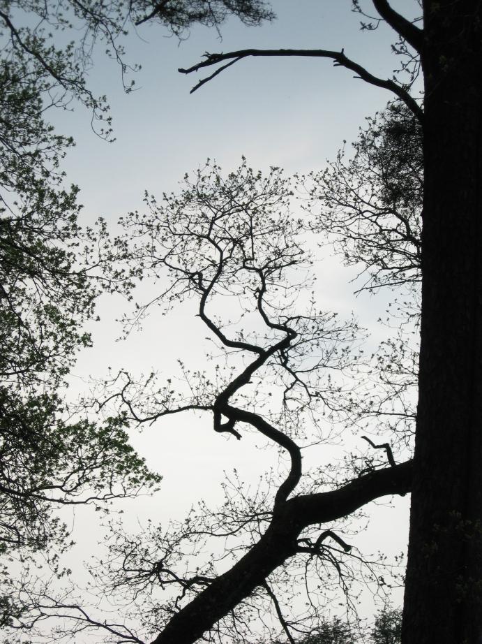 /images/2008/May/img_6444.jpg