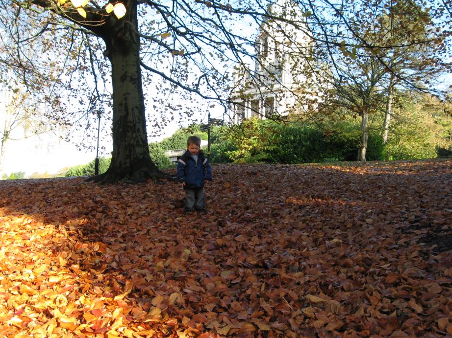 /images/2008/November/img_8835.jpg