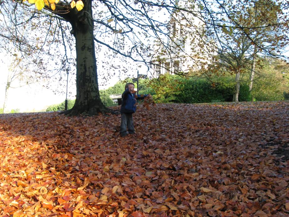 /images/2008/November/img_8840.jpg