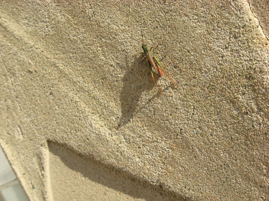 /images/2008/September/img_7831.jpg