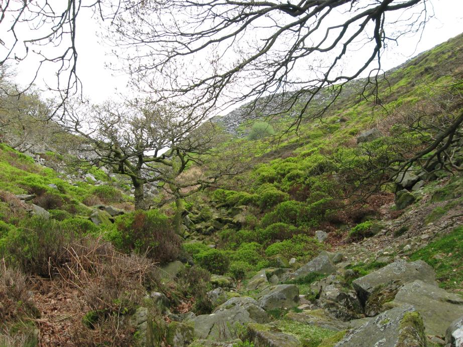 /images/2009/April/img_0471.jpg