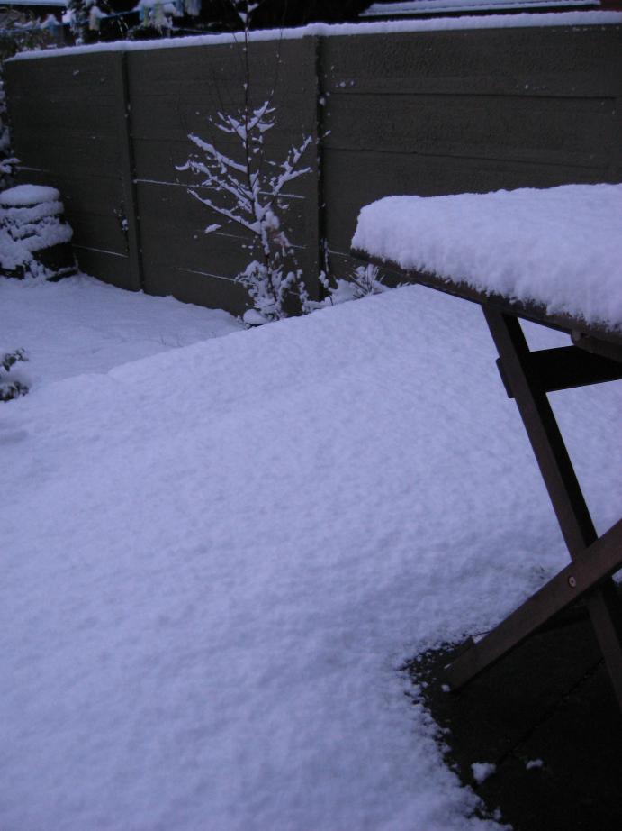 /images/2009/December/img_3771.jpg
