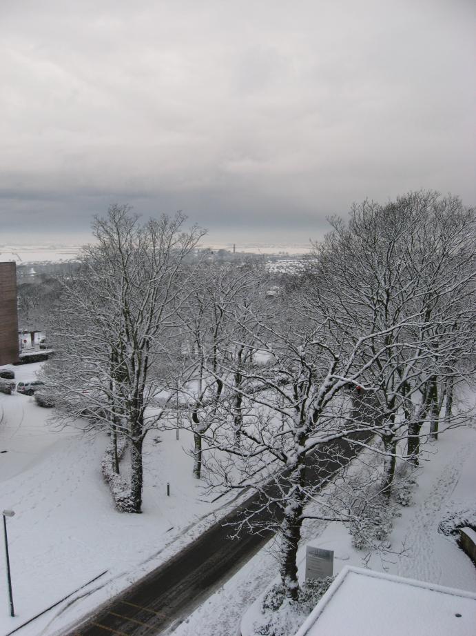 /images/2009/December/img_3783.jpg