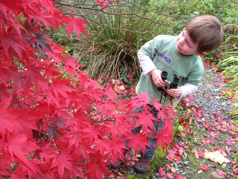 /images/2009/October/img_3223.jpg