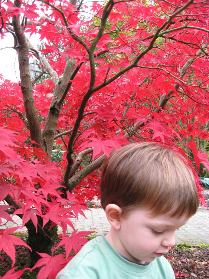/images/2009/October/img_3235.jpg