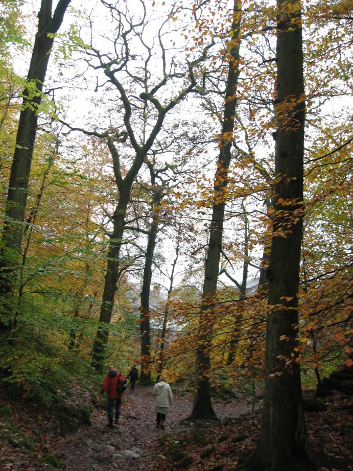 /images/2009/October/img_3309.jpg