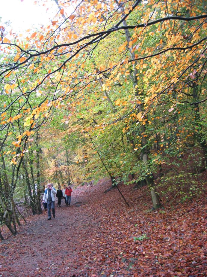 /images/2009/October/img_3314.jpg