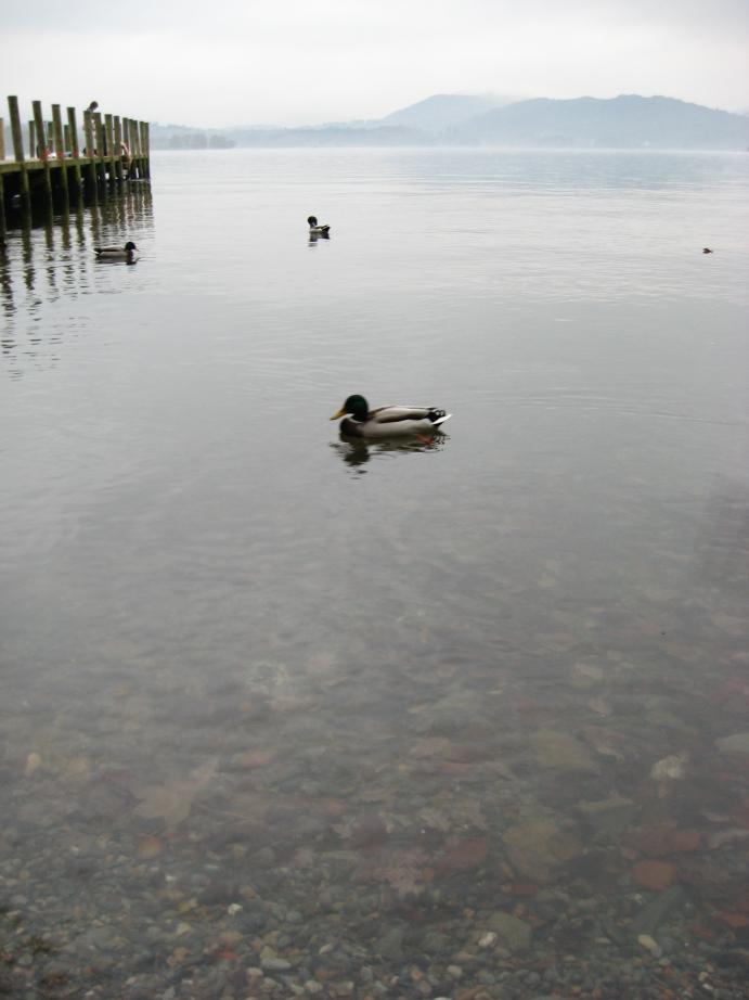 /images/2009/October/img_3323.jpg