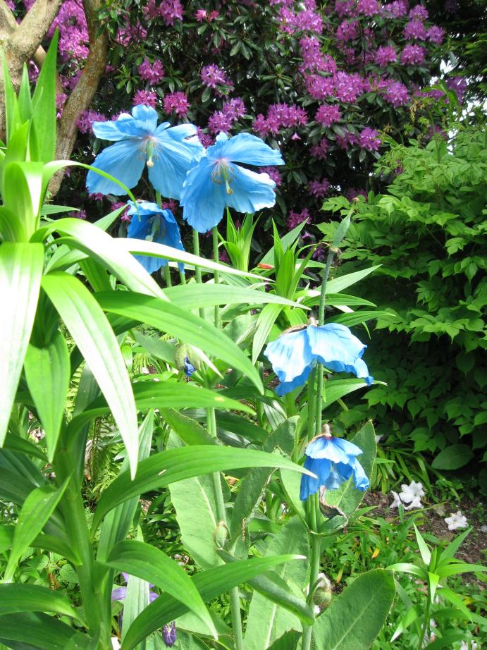 /images/2010/June/img_5060.jpg