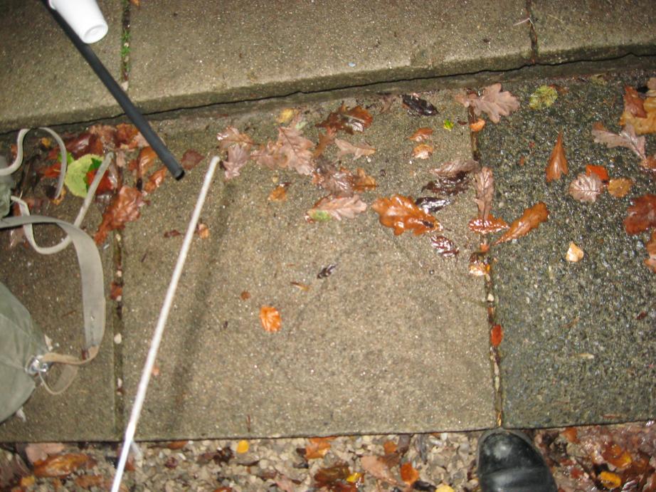 /images/2010/November/img_6122.jpg