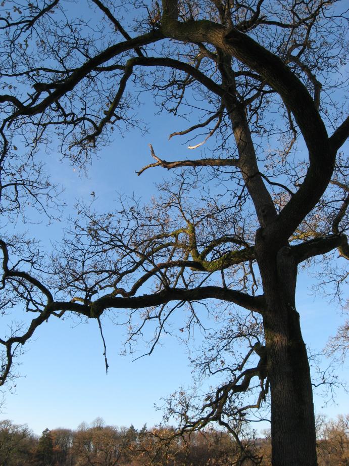 /images/2010/November/img_6221.jpg