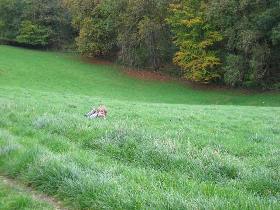 /images/2010/October/img_6033.jpg