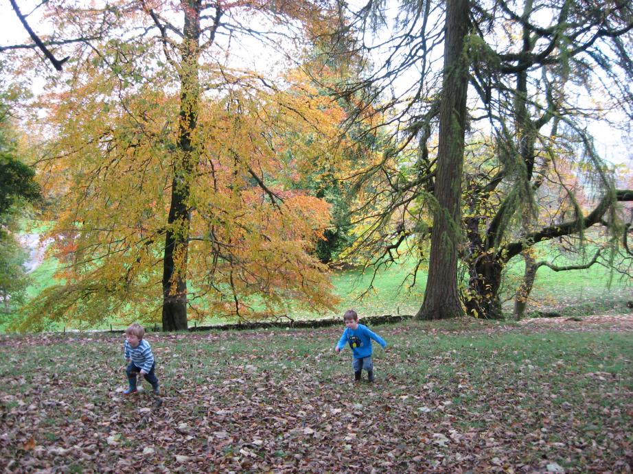 /images/2010/October/img_6038.jpg
