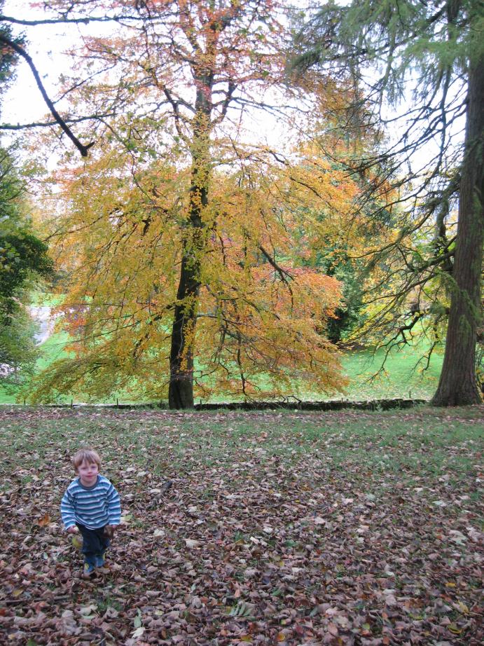 /images/2010/October/img_6041.jpg