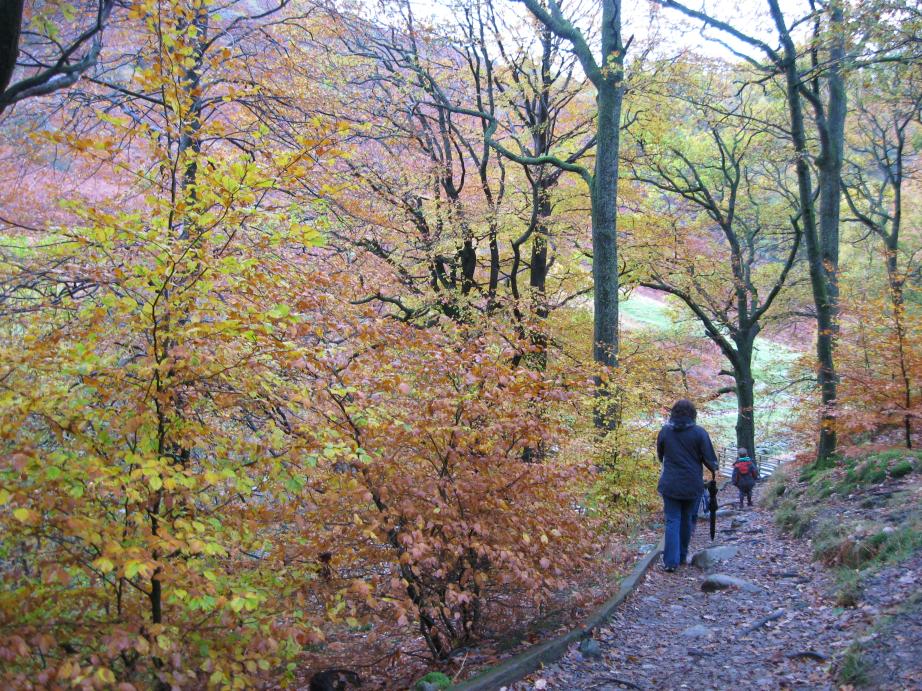 /images/2010/October/img_6073.jpg
