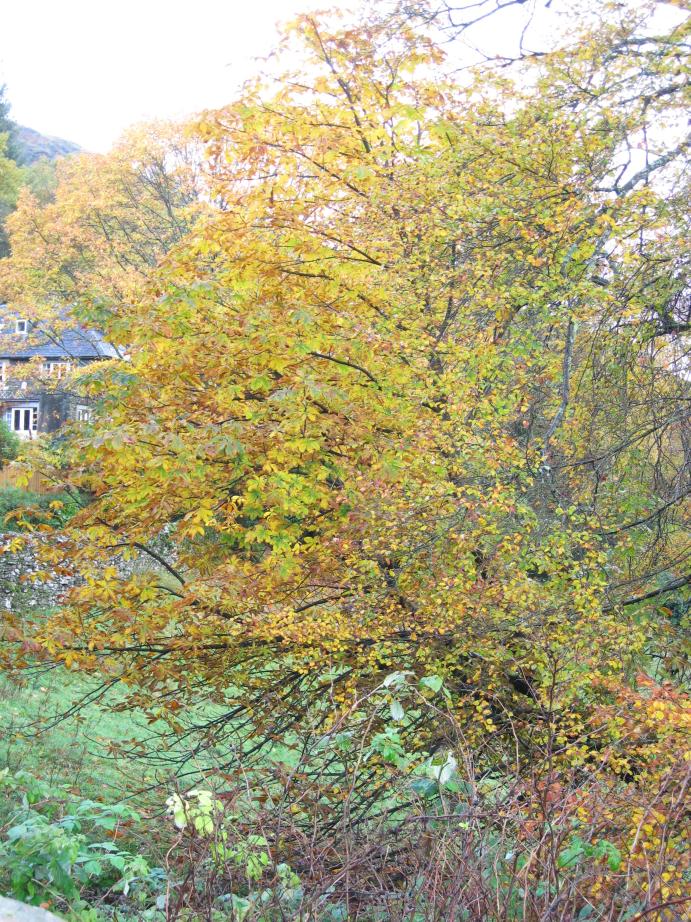 /images/2010/October/img_6102.jpg