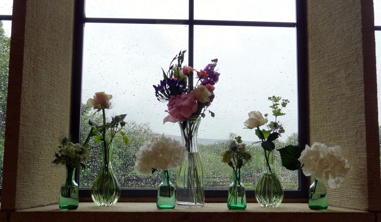 /images/2012/June/DSC04435.JPG