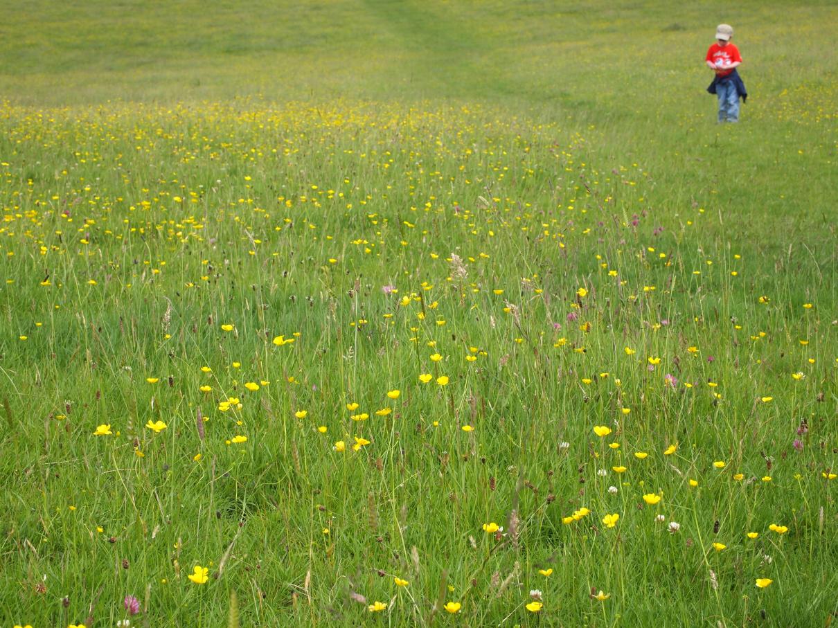 /images/2012/June/P6303522.JPG