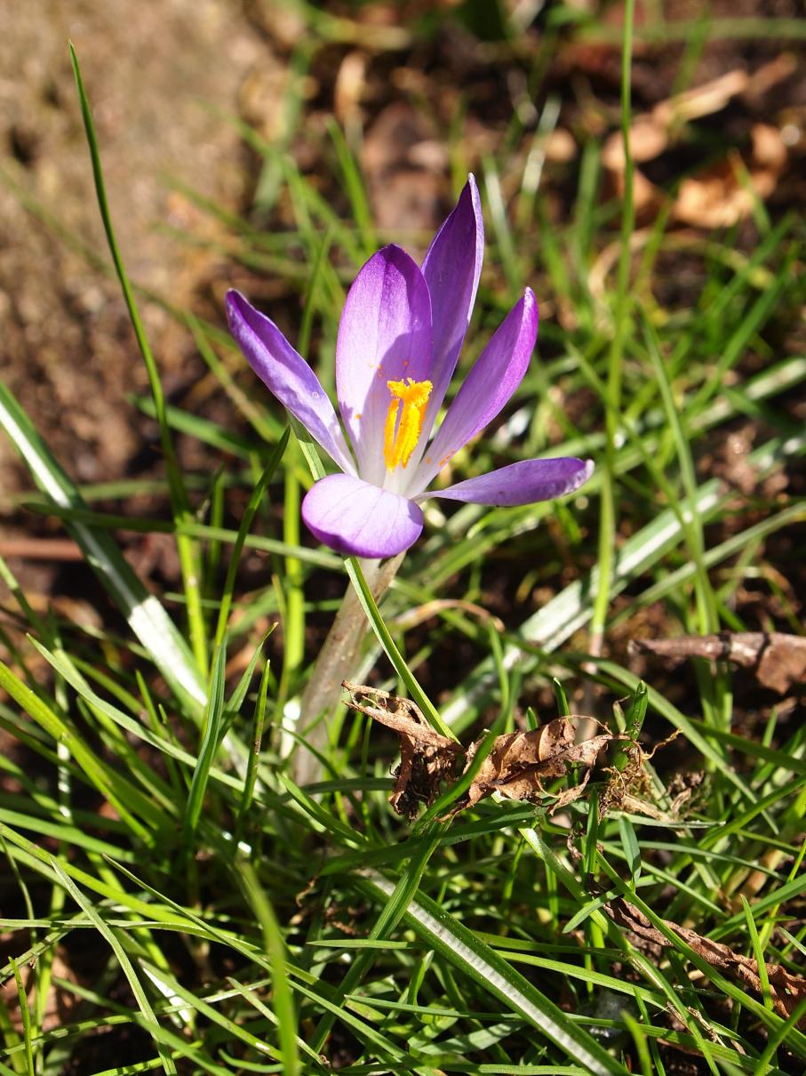 /images/2013/March/P3305163.JPG