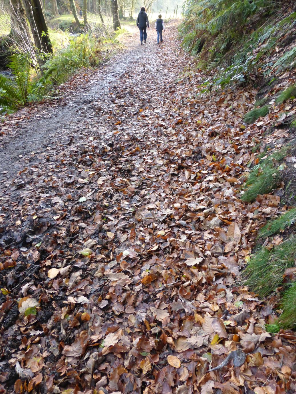 /images/2014/November/P1020281.JPG