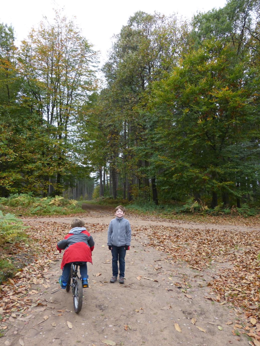 /images/2014/October/P1020008.JPG