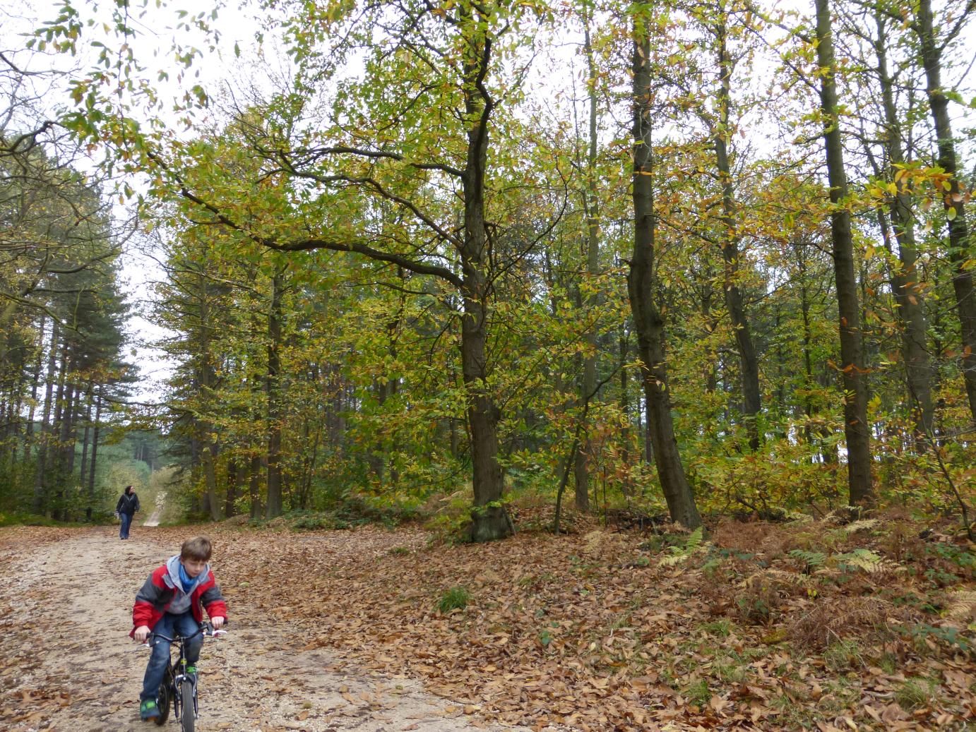 /images/2014/October/P1020029.JPG