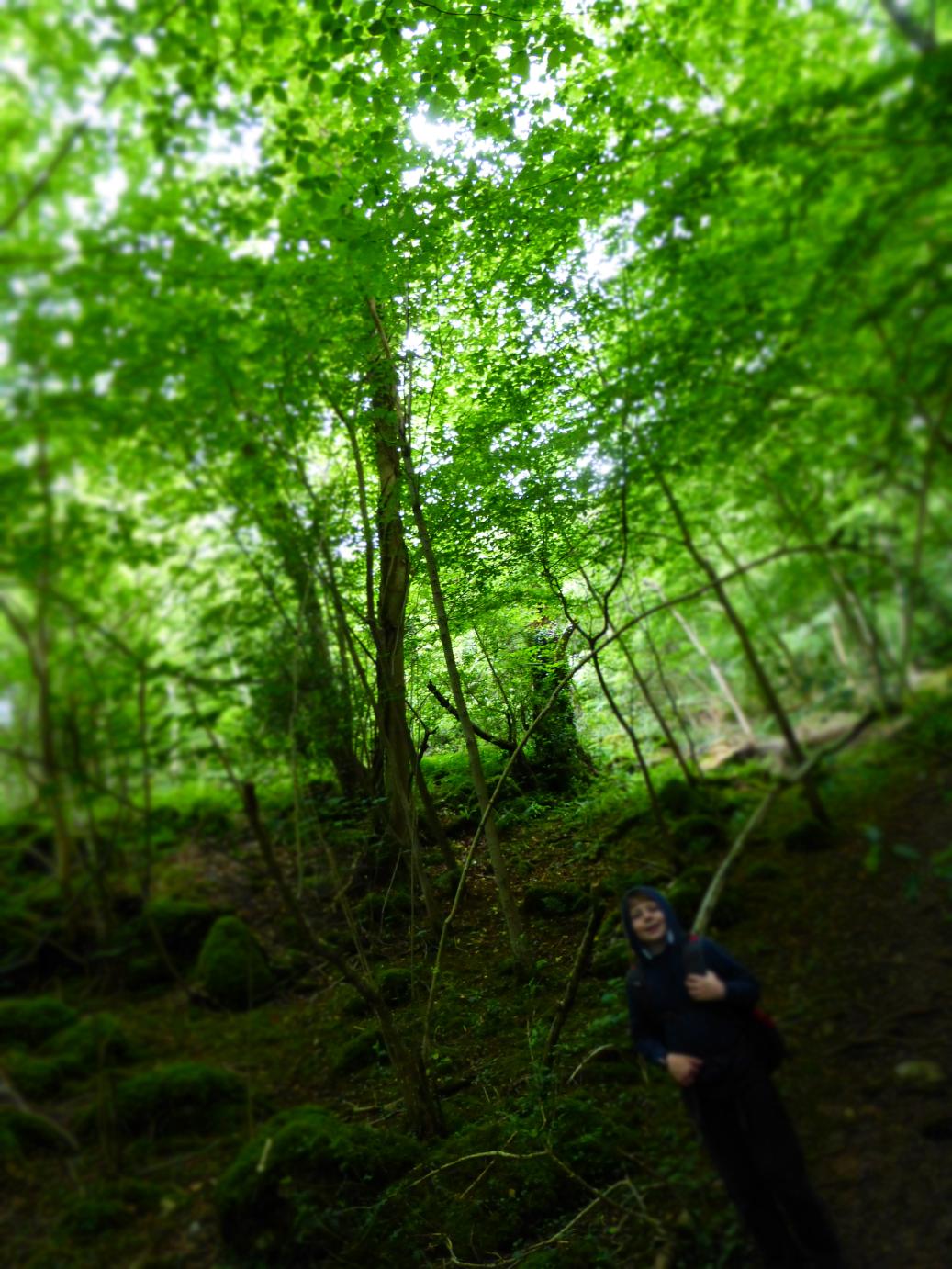 /images/2016/June/P1050915.JPG