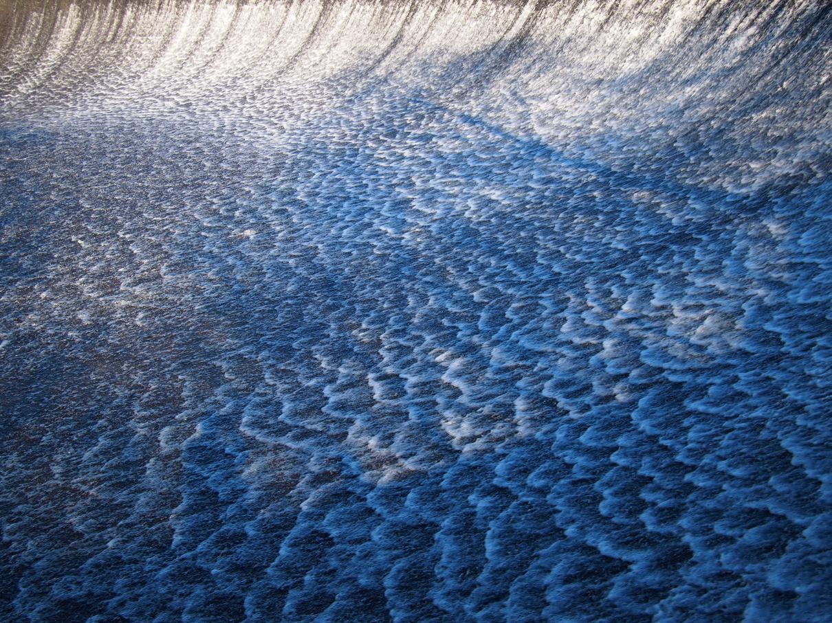 /images/2017/April/P4020269.JPG