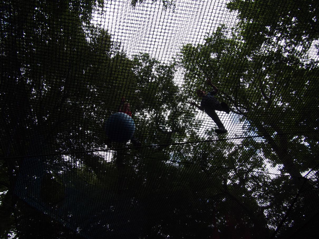 /images/2017/July/P7010959.JPG