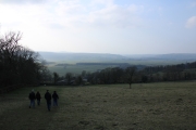 IMG_9136.JPG